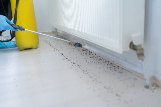 Pest Prevention Services in Powell, WY